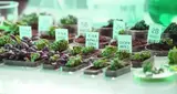images/uvocz980hfx6ek4c/PG-agribusiness.jpg